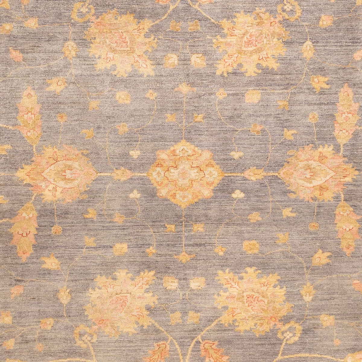 Ziegler Rug - 342 x 252 cm - dark beige