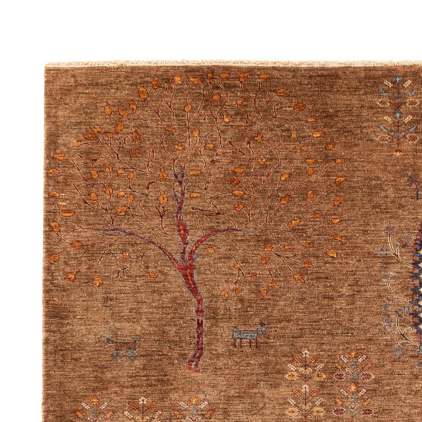Ziegler Teppich - Ariana - 336 x 243 cm - braun