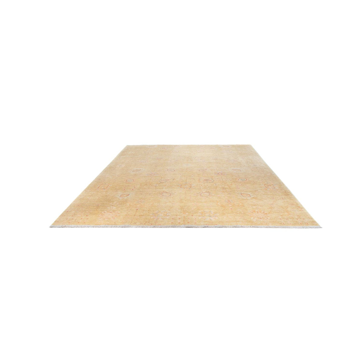 Ziegler Rug - 323 x 248 cm - beige