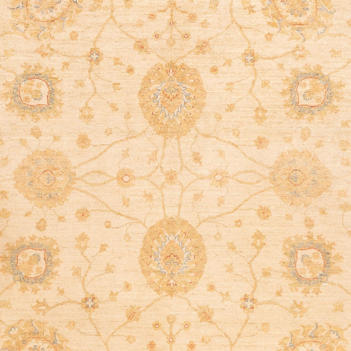Ziegler Rug - 325 x 250 cm - beige