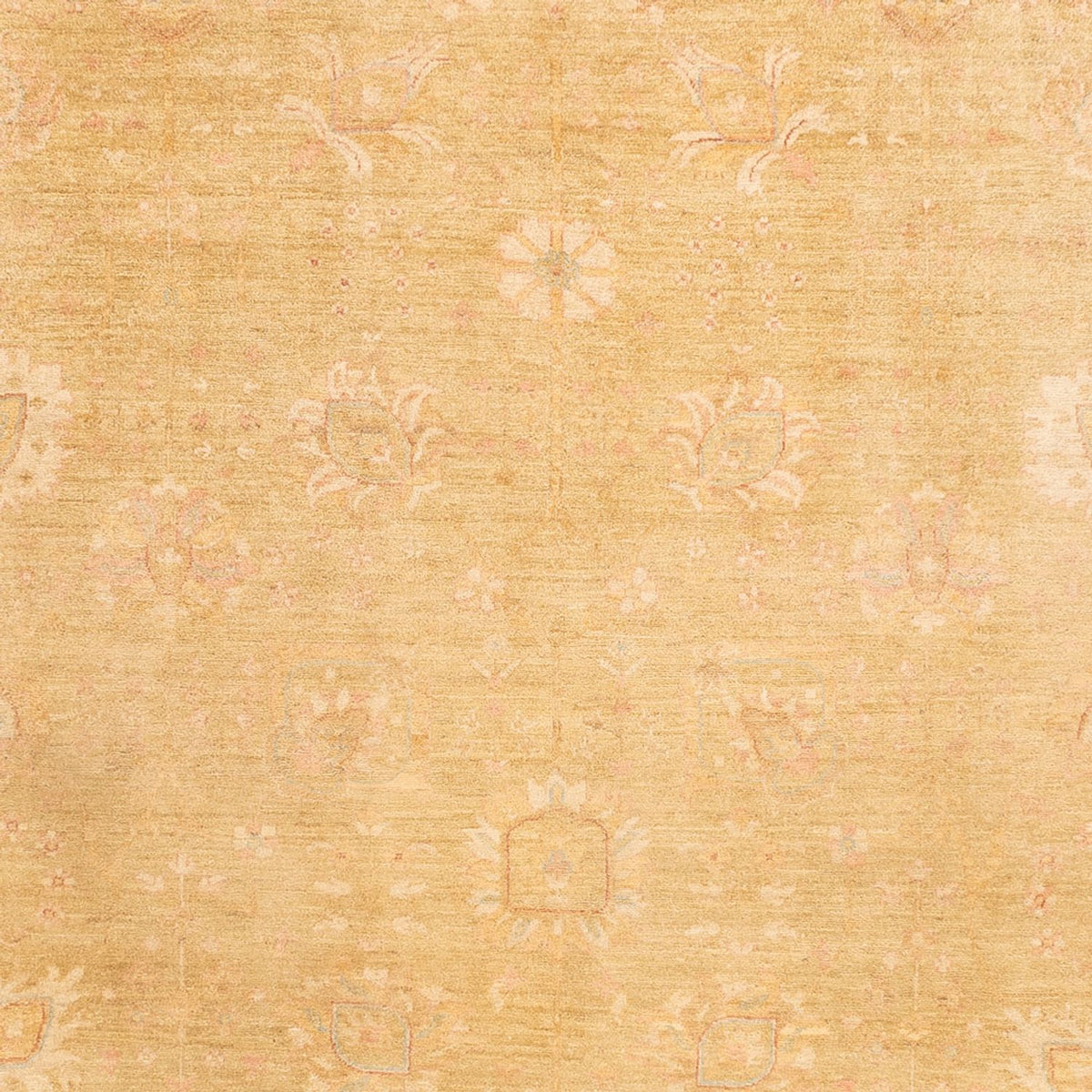 Ziegler Rug - 339 x 258 cm - beige