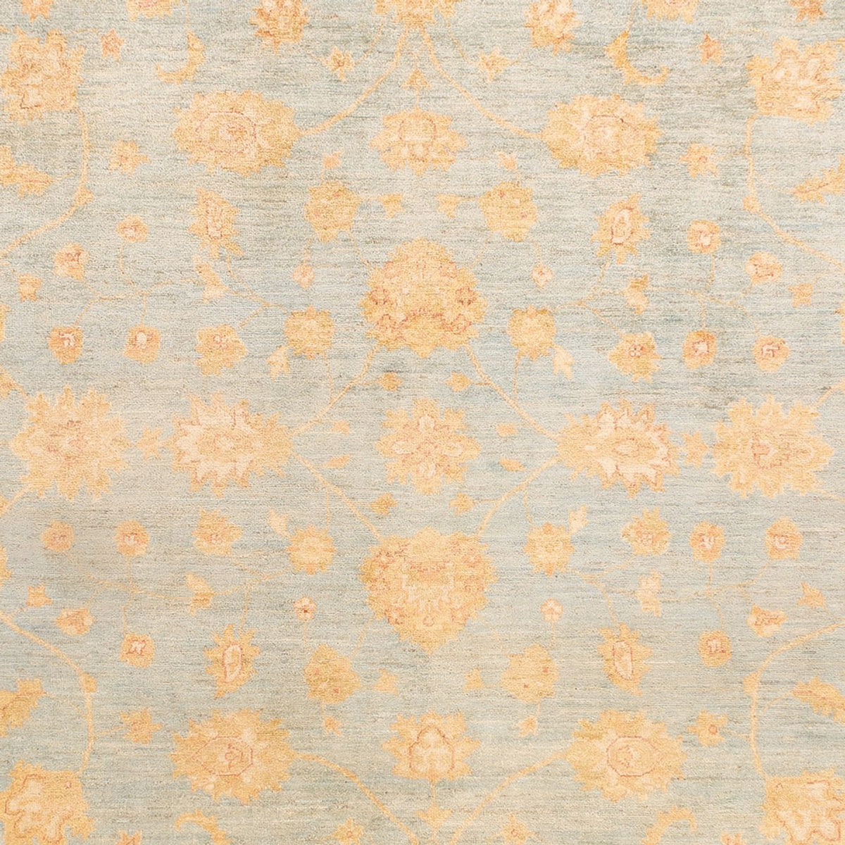 Ziegler Rug - 342 x 257 cm - light blue
