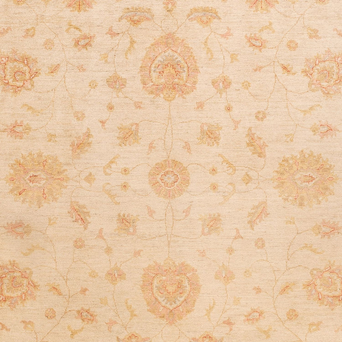 Ziegler Rug - 346 x 257 cm - beige
