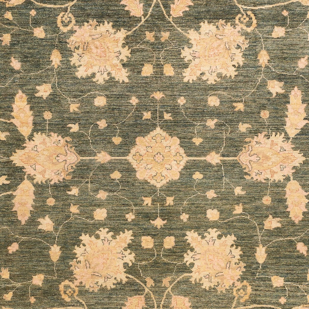 Ziegler Rug - 348 x 256 cm - olive green
