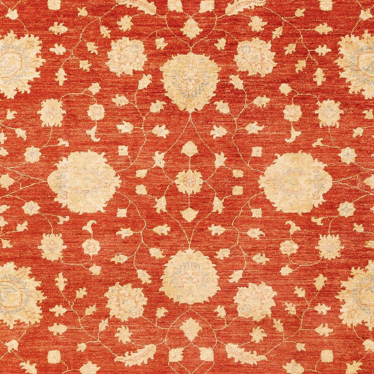 Ziegler Rug - 336 x 258 cm - red