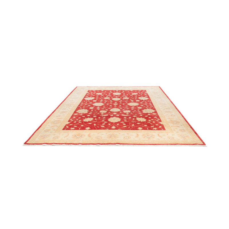 Ziegler Rug - 336 x 258 cm - red
