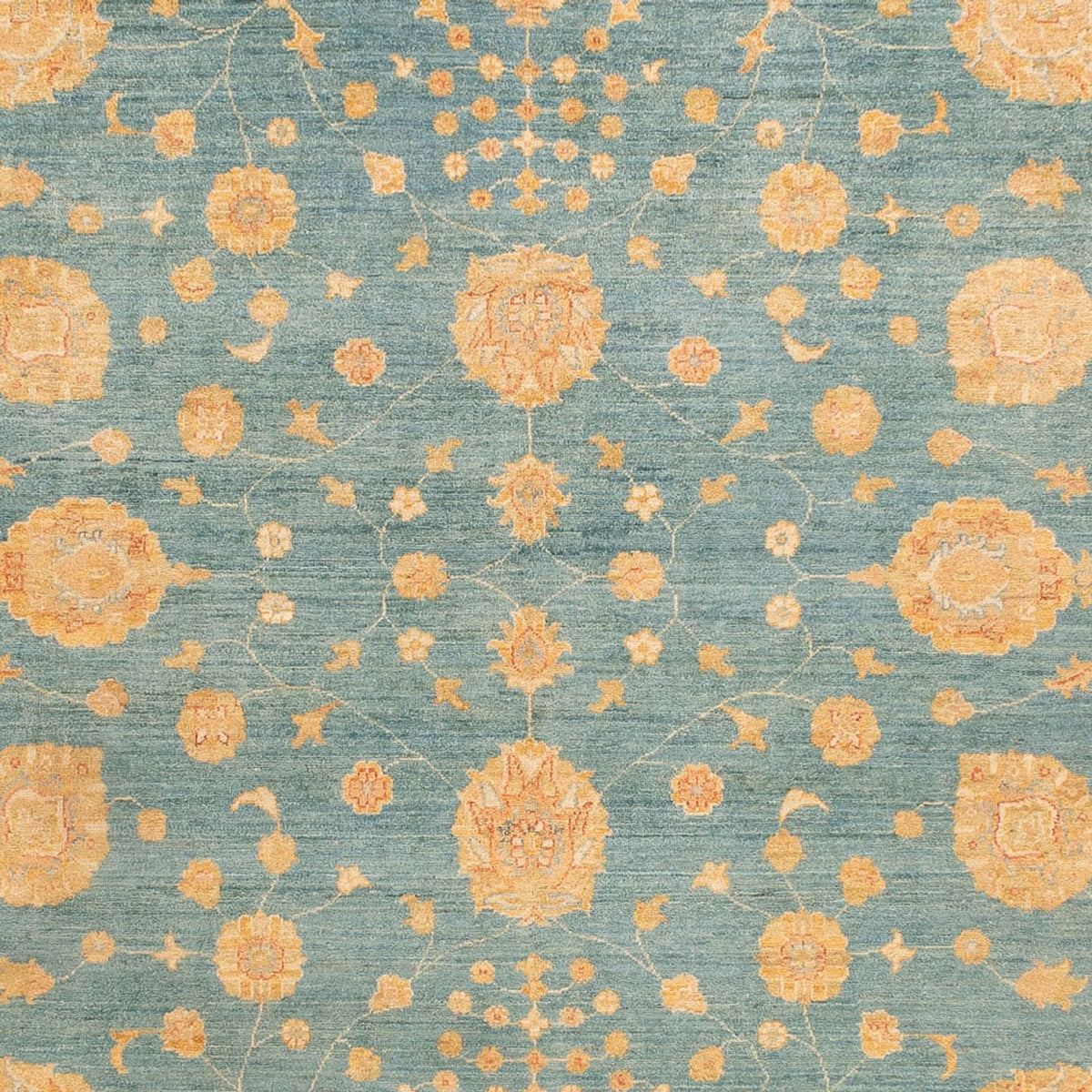 Ziegler Rug - 353 x 255 cm - blue