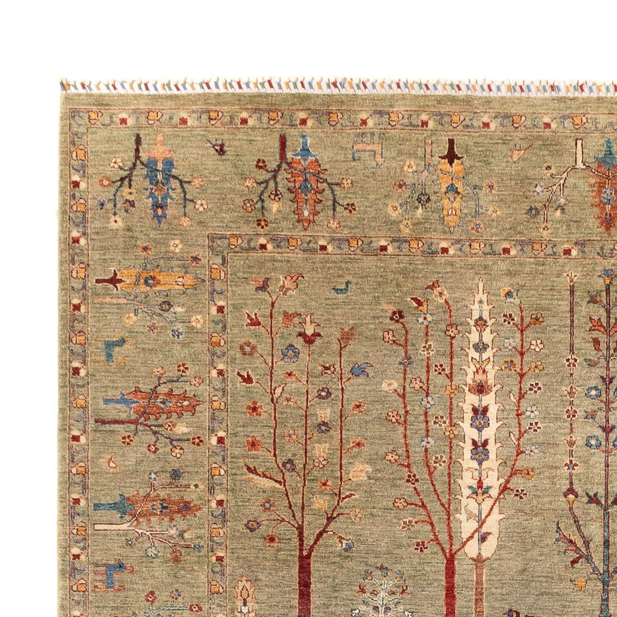 Ziegler Rug - Ariana - 339 x 245 cm - sand