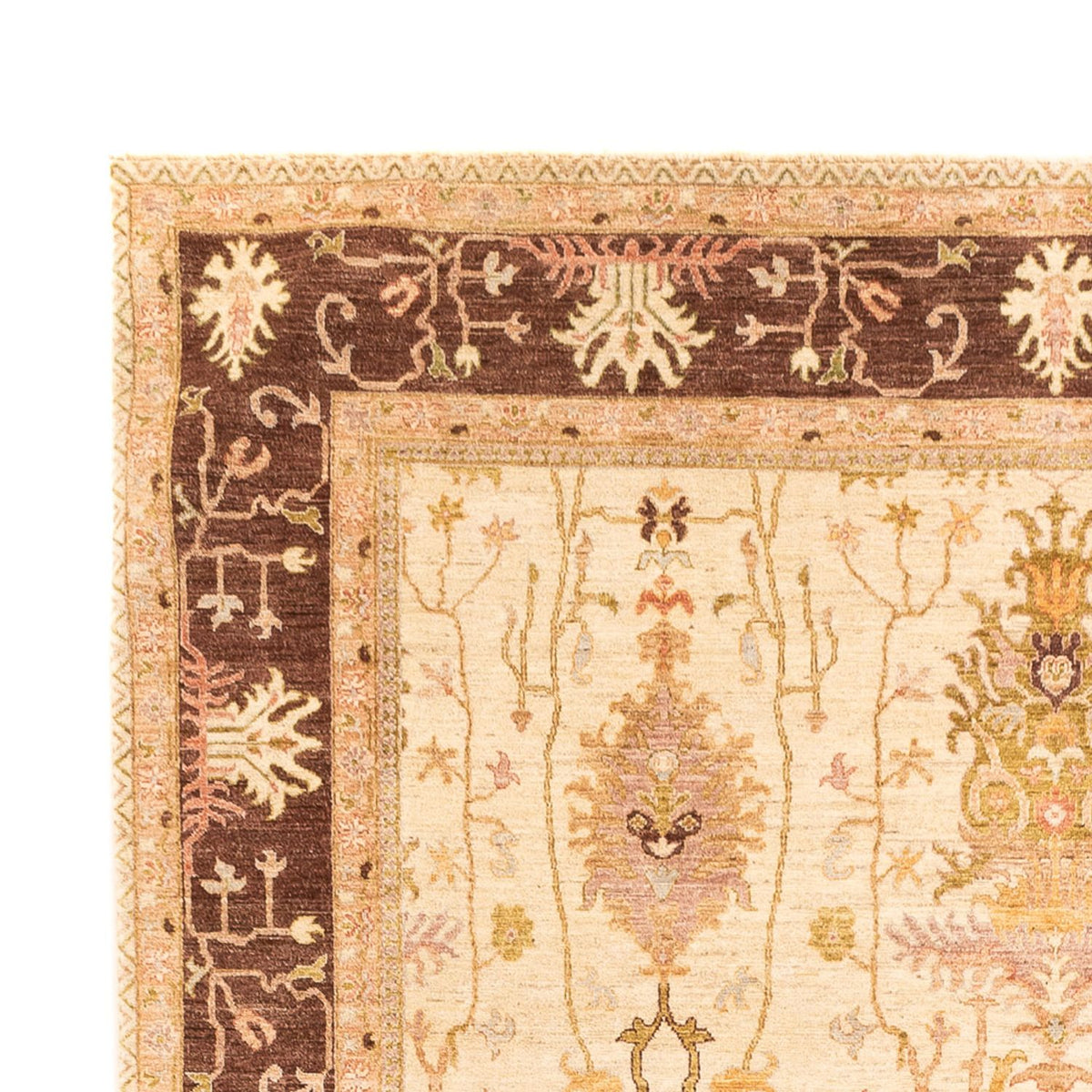Ziegler Rug - Usak - 349 x 246 cm - beige