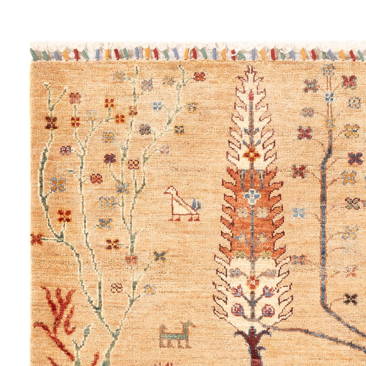 Ziegler Rug - Ariana - 177 x 128 cm - beige