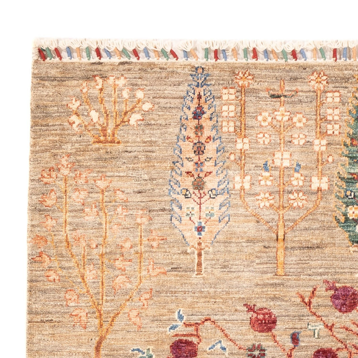 Ziegler Rug - Ariana - 177 x 122 cm - beige