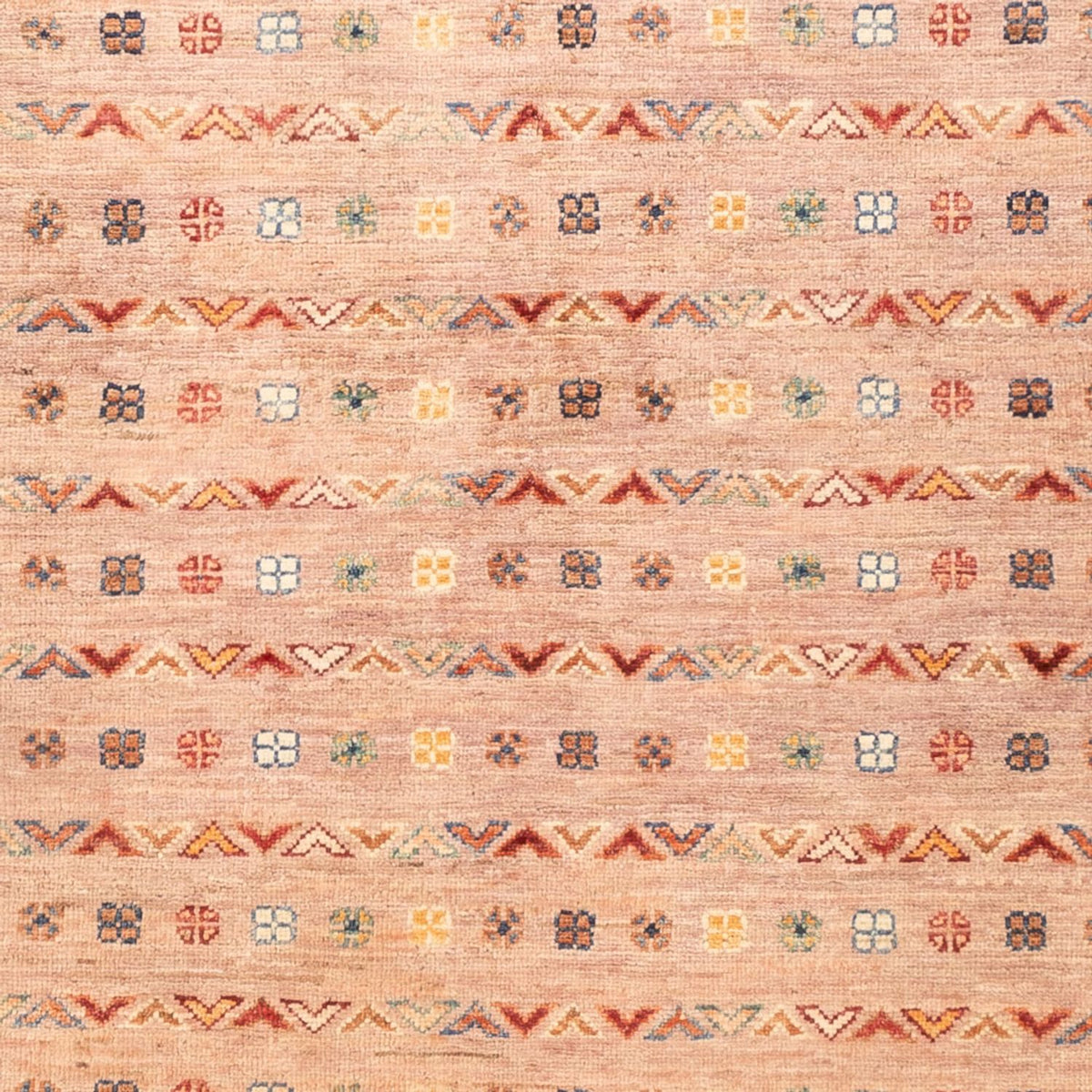 Ziegler Rug - Ariana - 193 x 120 cm - rose