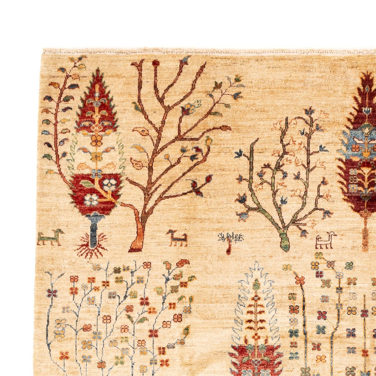 Ziegler Rug - Ariana - 299 x 209 cm - multicolored