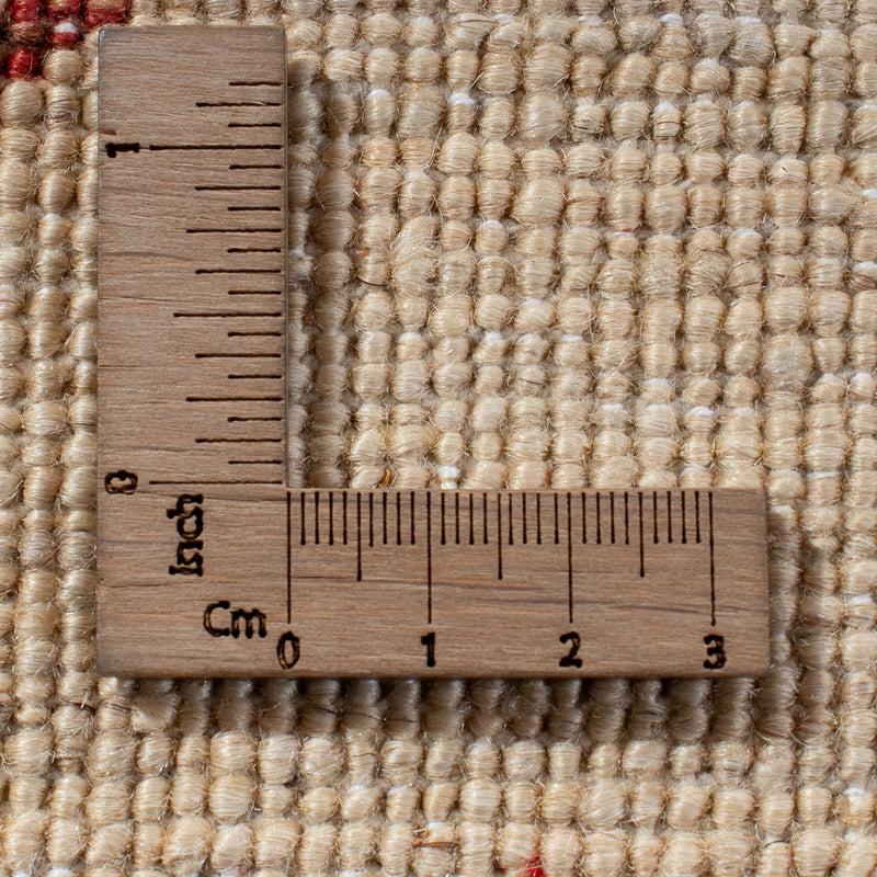 Ziegler Rug - Ariana - 299 x 209 cm - multicolored