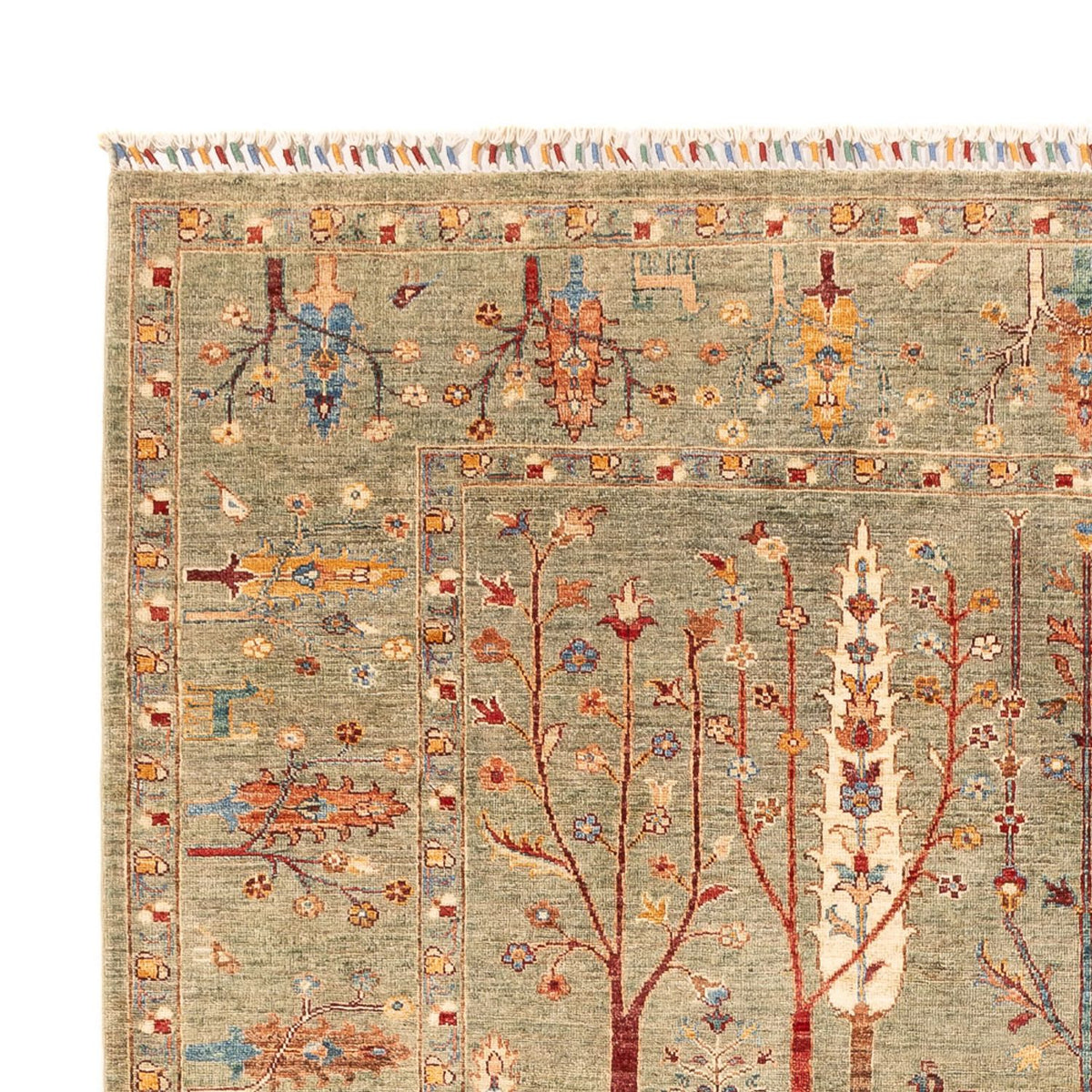 Ziegler Rug - Ariana - 293 x 211 cm - mint green