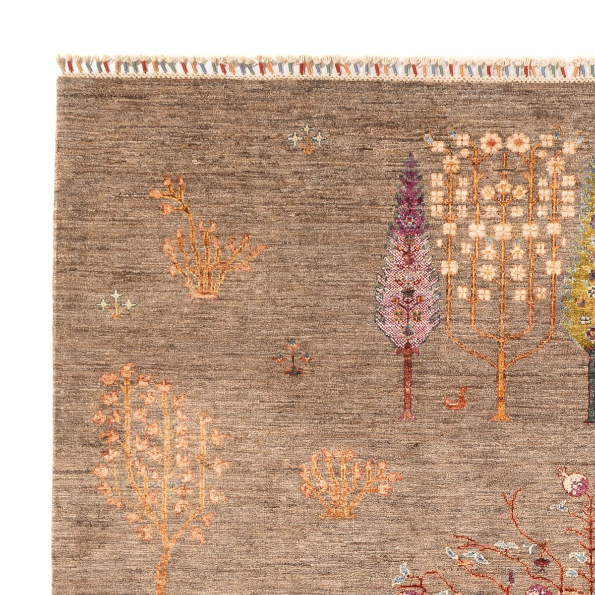 Ziegler Rug - Ariana - 293 x 208 cm - dark beige