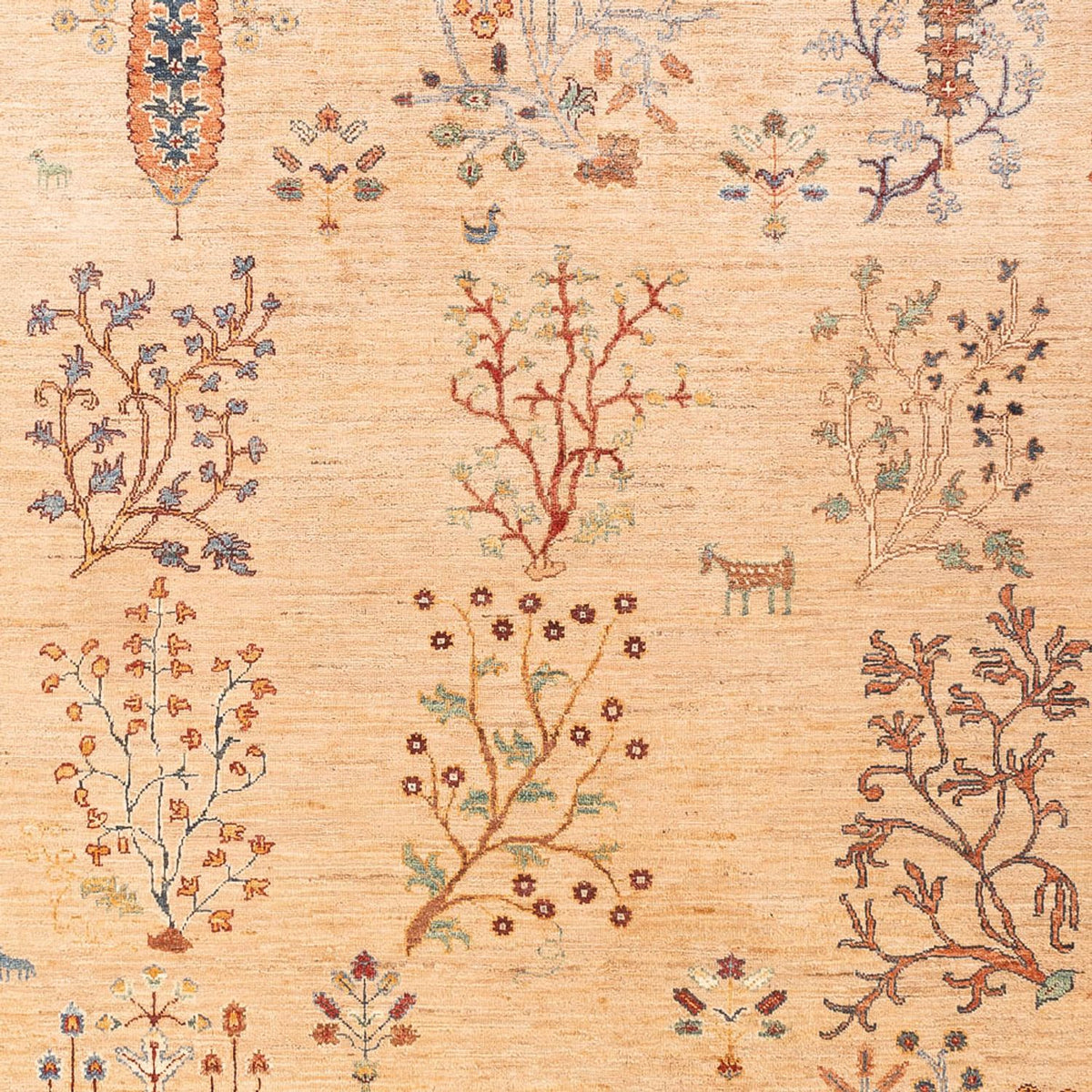 Ziegler Rug - Ariana - 293 x 206 cm - beige