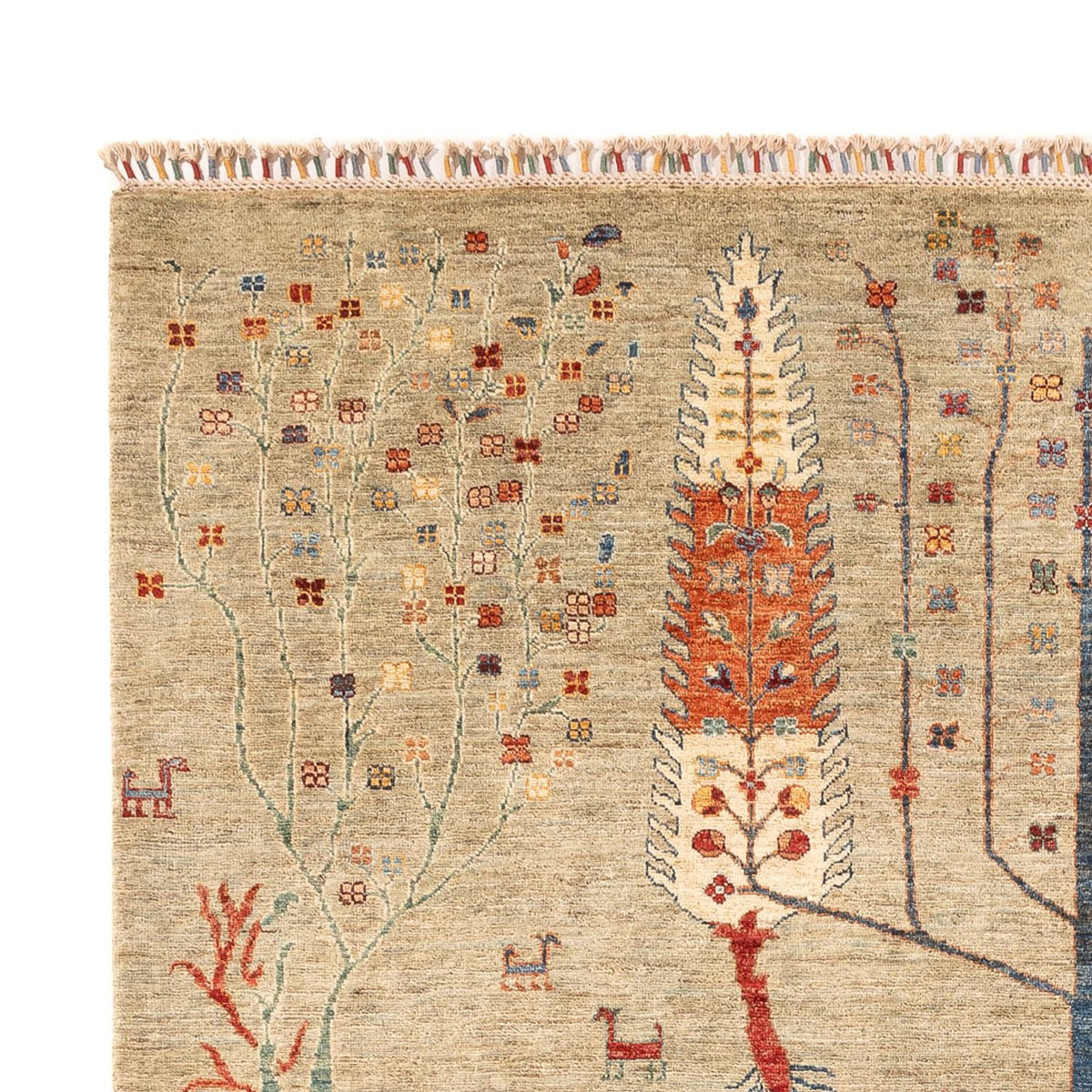 Ziegler Rug - Ariana - 299 x 210 cm - sand