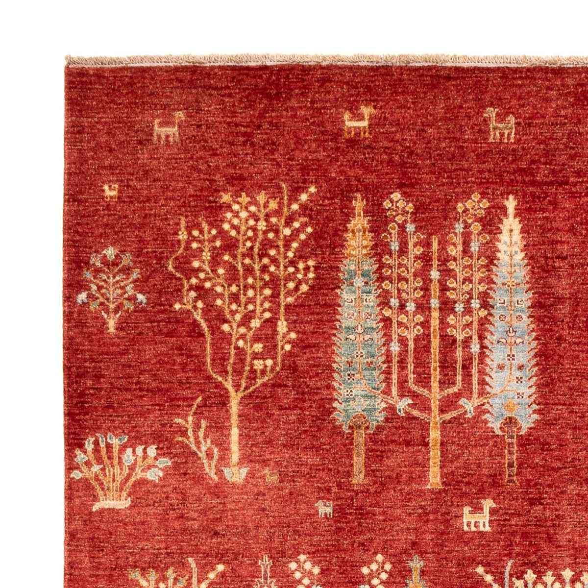 Ziegler Rug - Ariana - 296 x 205 cm - red