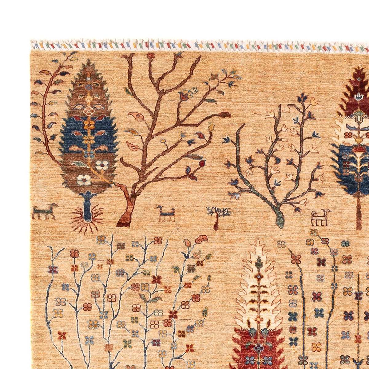 Ziegler Rug - Ariana - 302 x 207 cm - light beige