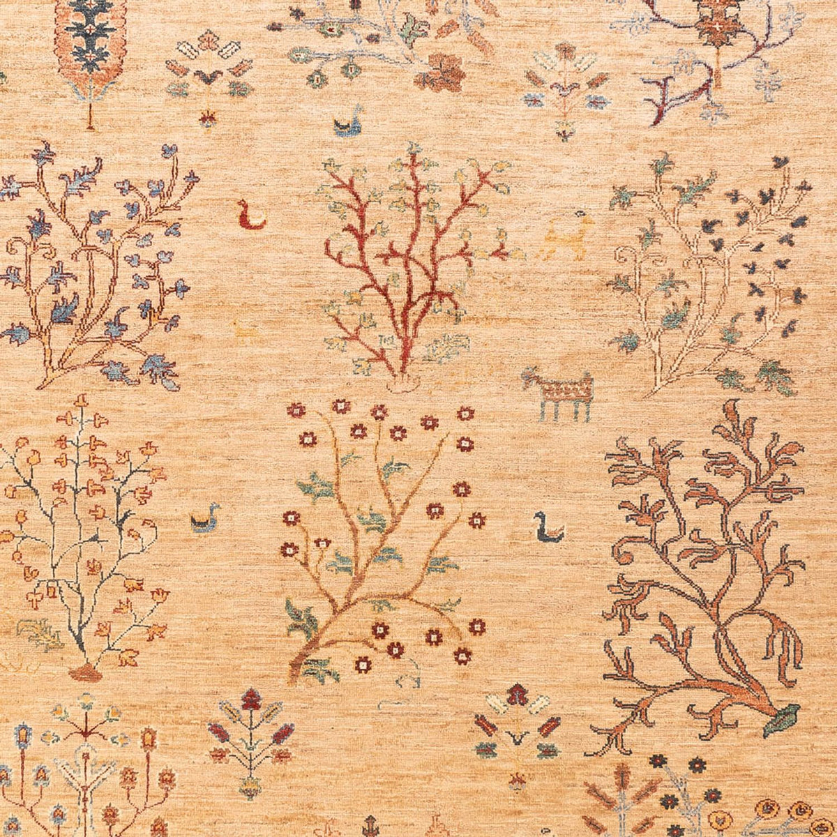 Ziegler Rug - Ariana - 293 x 205 cm - light beige