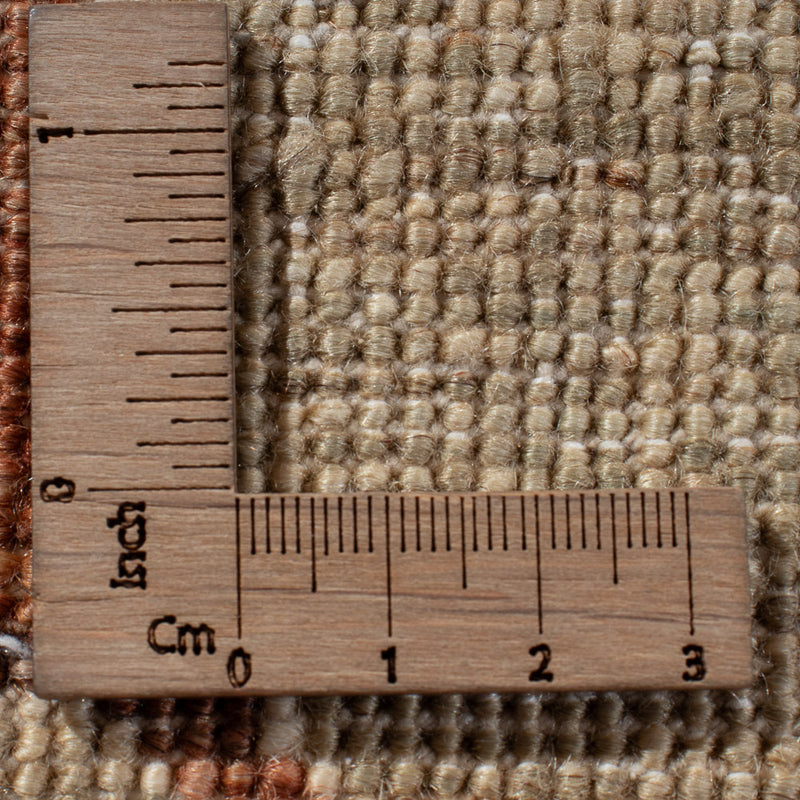 Ziegler Rug - Ariana - 294 x 205 cm - multicolored