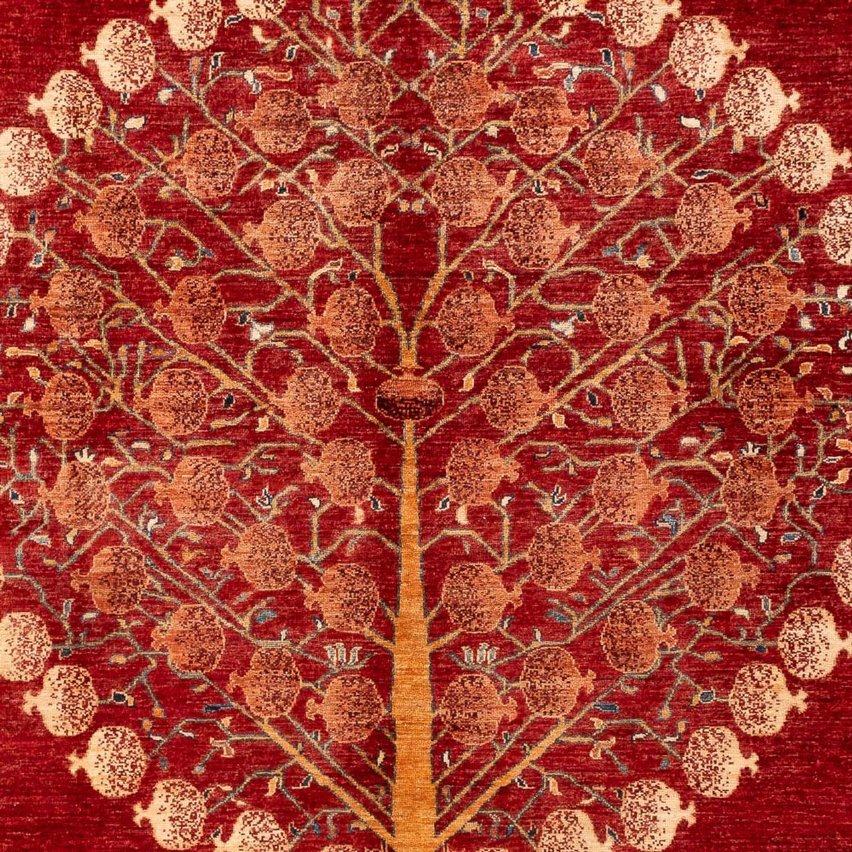 Ziegler Rug - Ariana - 294 x 207 cm - red