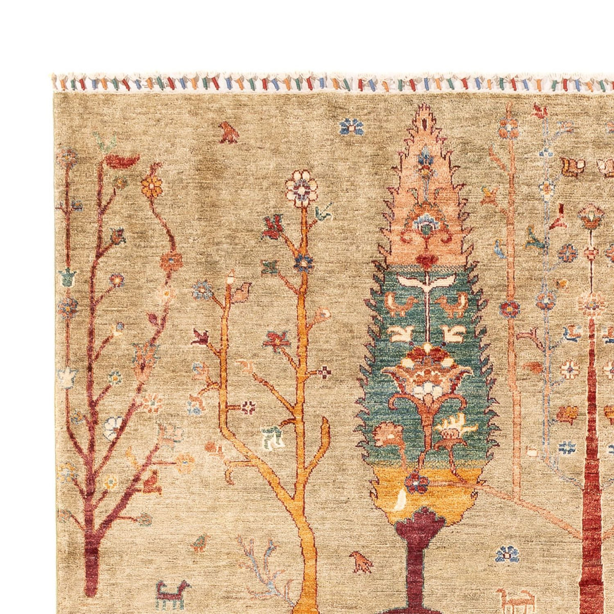 Ziegler Rug - Ariana - 290 x 207 cm - sand