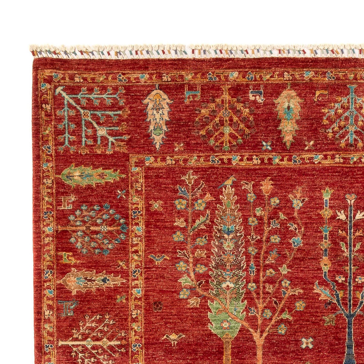 Ziegler Rug - Ariana - 300 x 204 cm - red