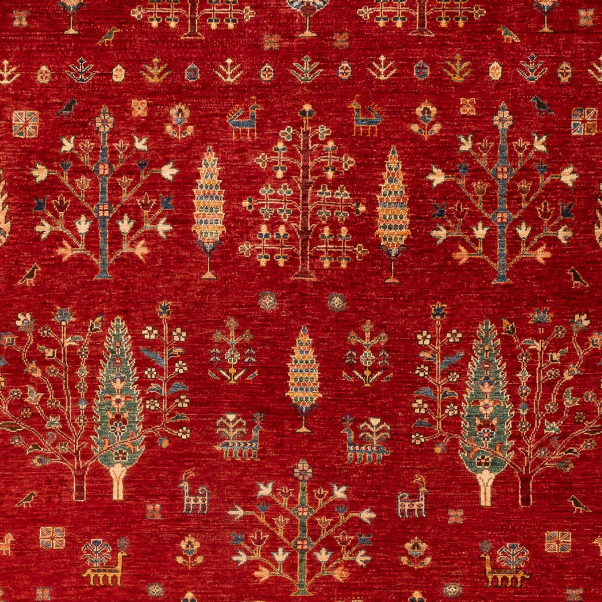 Ziegler Rug - Ariana - 300 x 206 cm - red