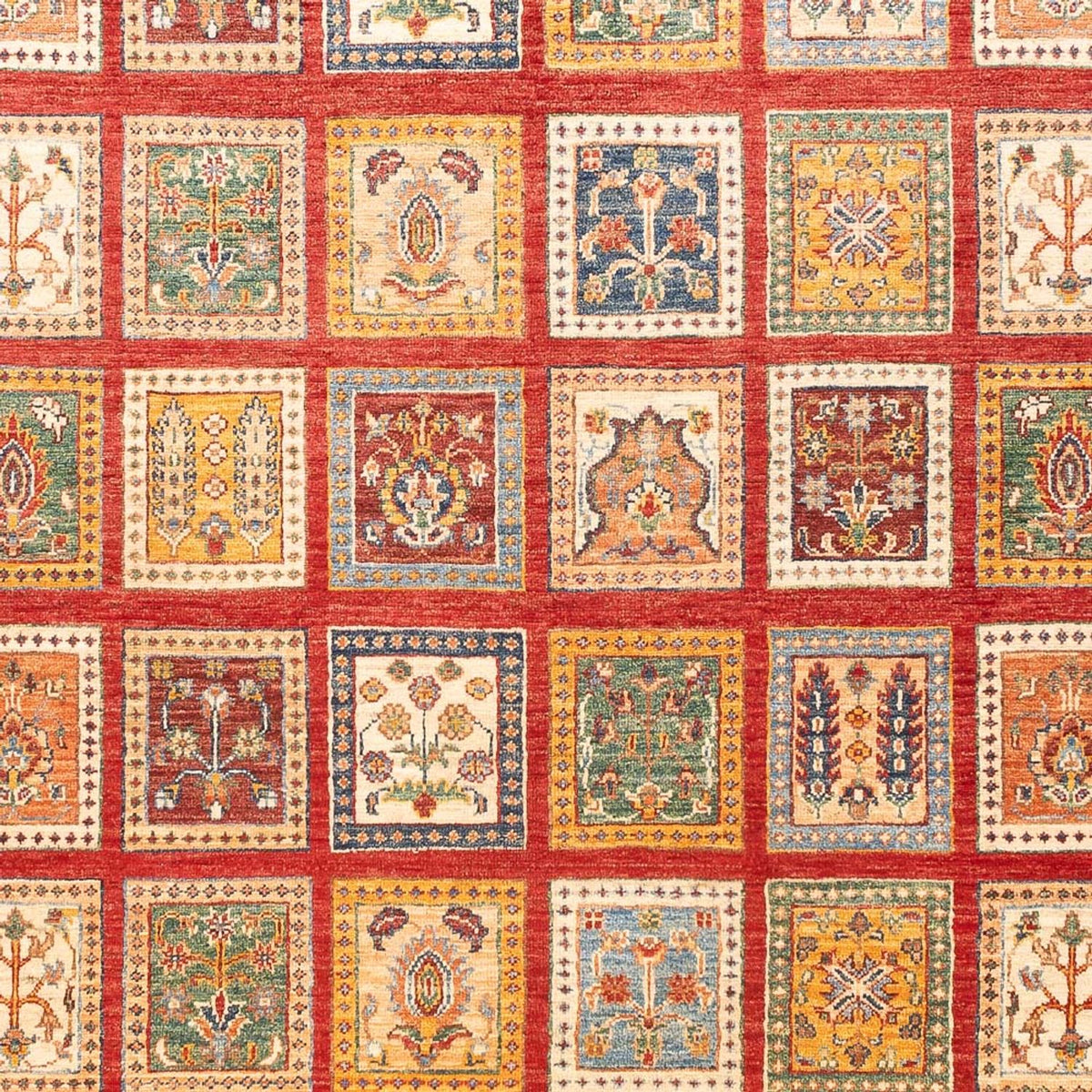 Ziegler Rug - Bakhtiari - 239 x 169 cm - multicolored