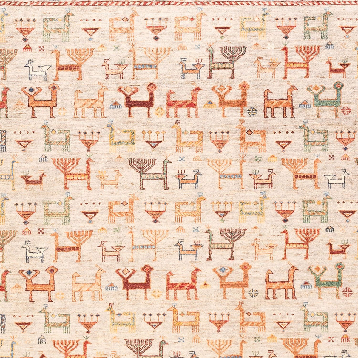 Ziegler Rug - Ariana - 300 x 207 cm - rose