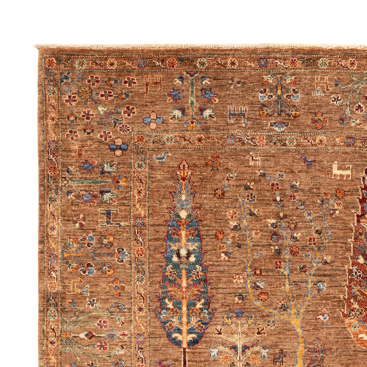Ziegler Rug - Ariana - 246 x 177 cm - dark beige