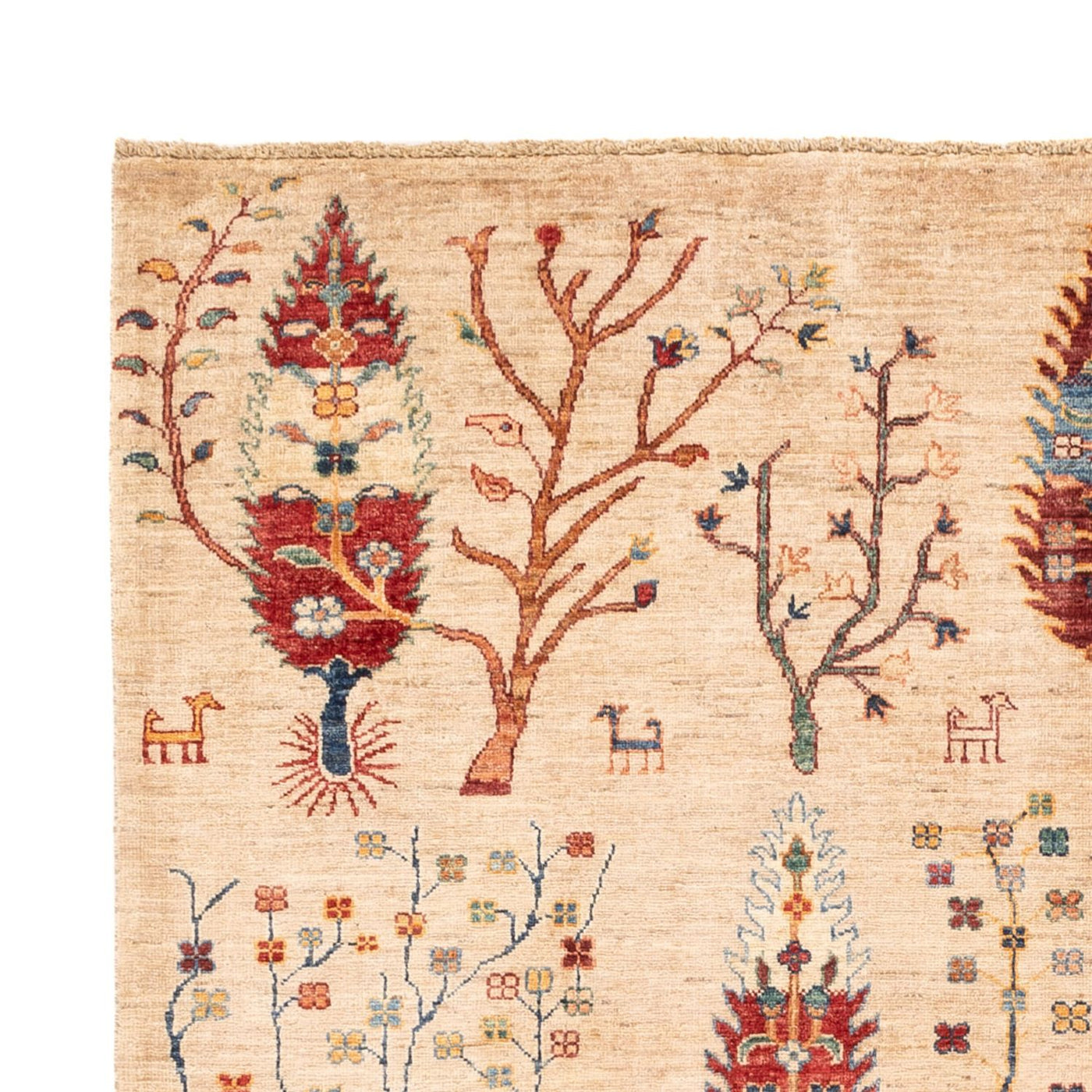 Ariana Rug 246x175cm - Oriental Rug