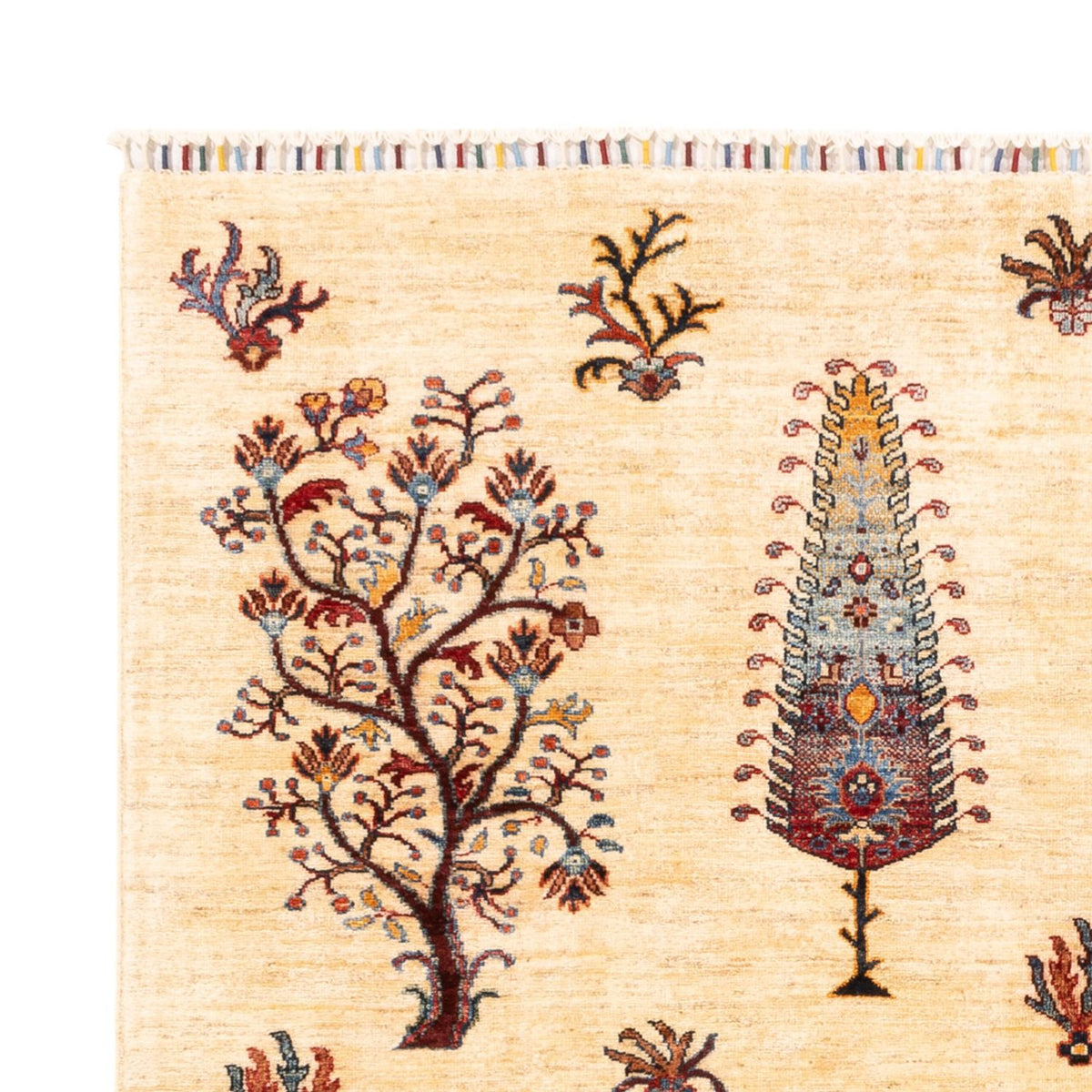 Ariana Rug 170x218cm - Oriental Rug