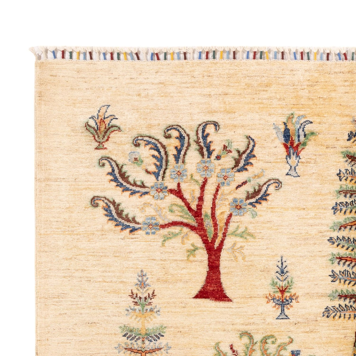 Ariana Rug 244x172cm - Oriental Rug