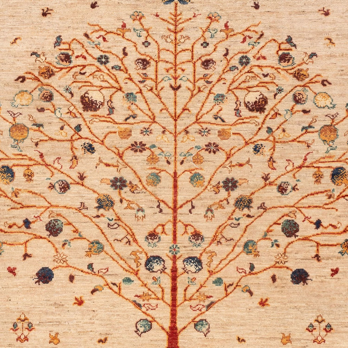 Ziegler Rug - Ariana - 246 x 171 cm - light beige