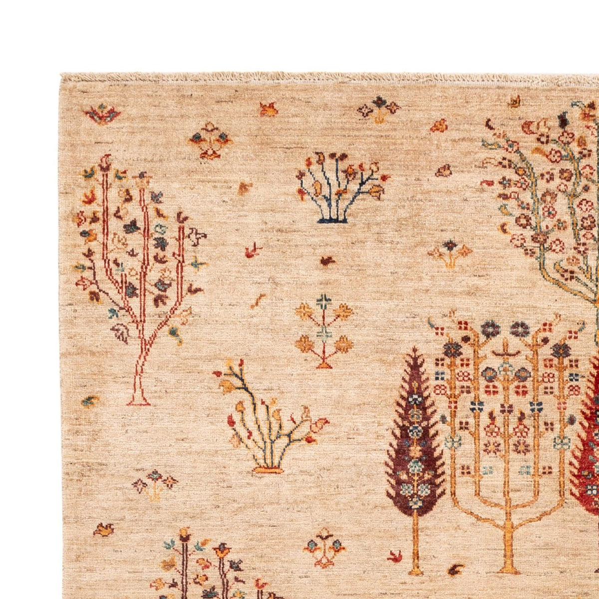 Ziegler Rug - Ariana - 246 x 171 cm - light beige