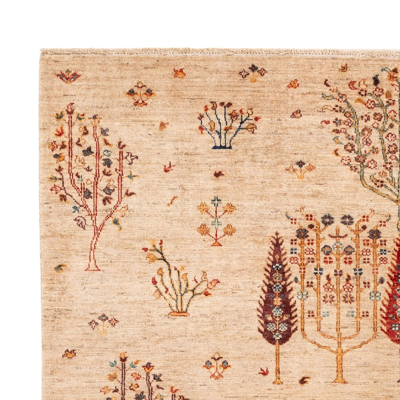 Ariana Rug 246x171cm - Oriental Rug