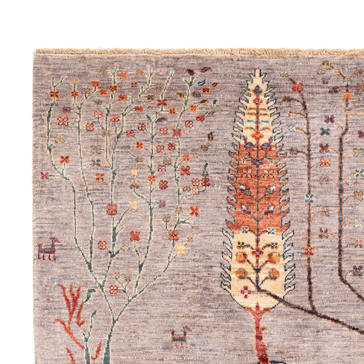 Ziegler Rug - Ariana - 251 x 169 cm - grey