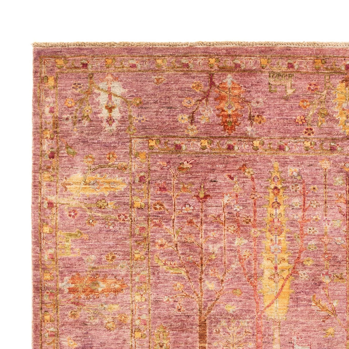 Ziegler Rug - Ariana - 243 x 170 cm - rose