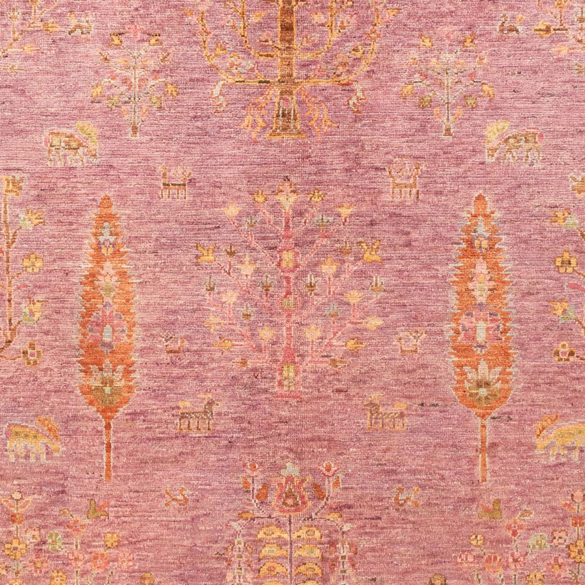 Ziegler Rug - Ariana - 240 x 177 cm - rose
