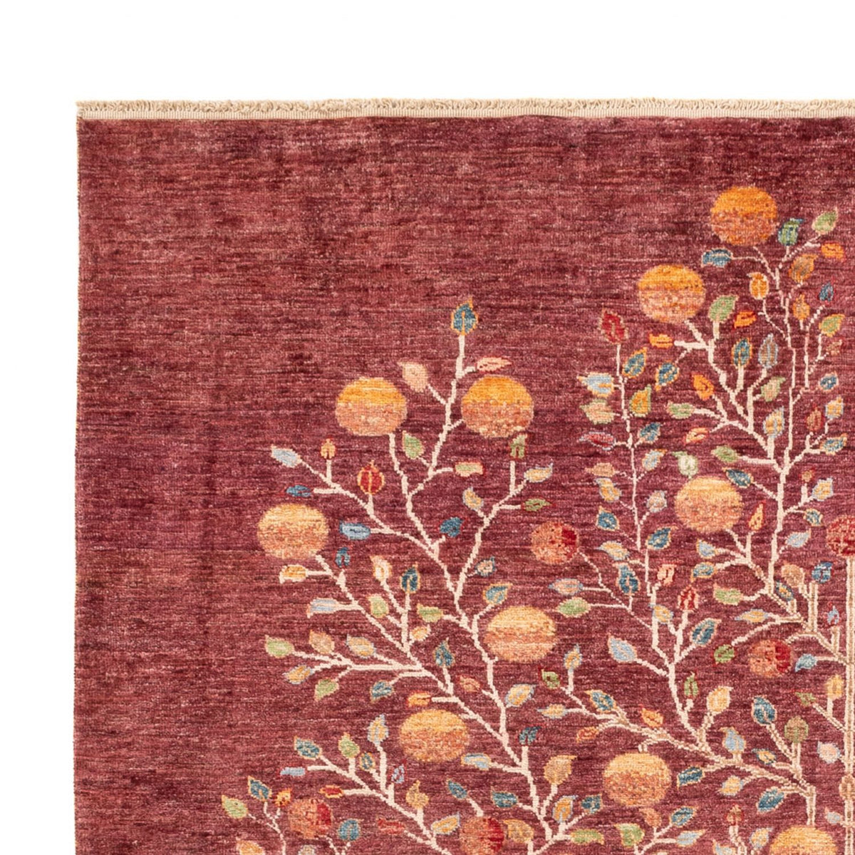 Ziegler Rug - Ariana - 237 x 175 cm - bordeaux red