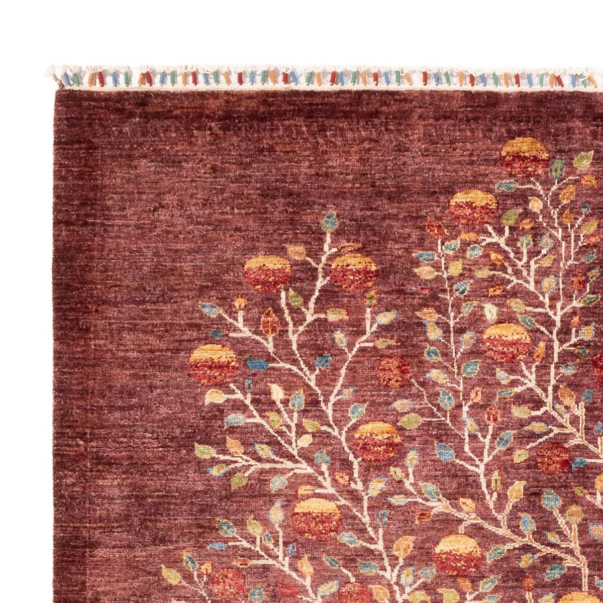 Ariana Rug 175x240cm - Oriental Rug