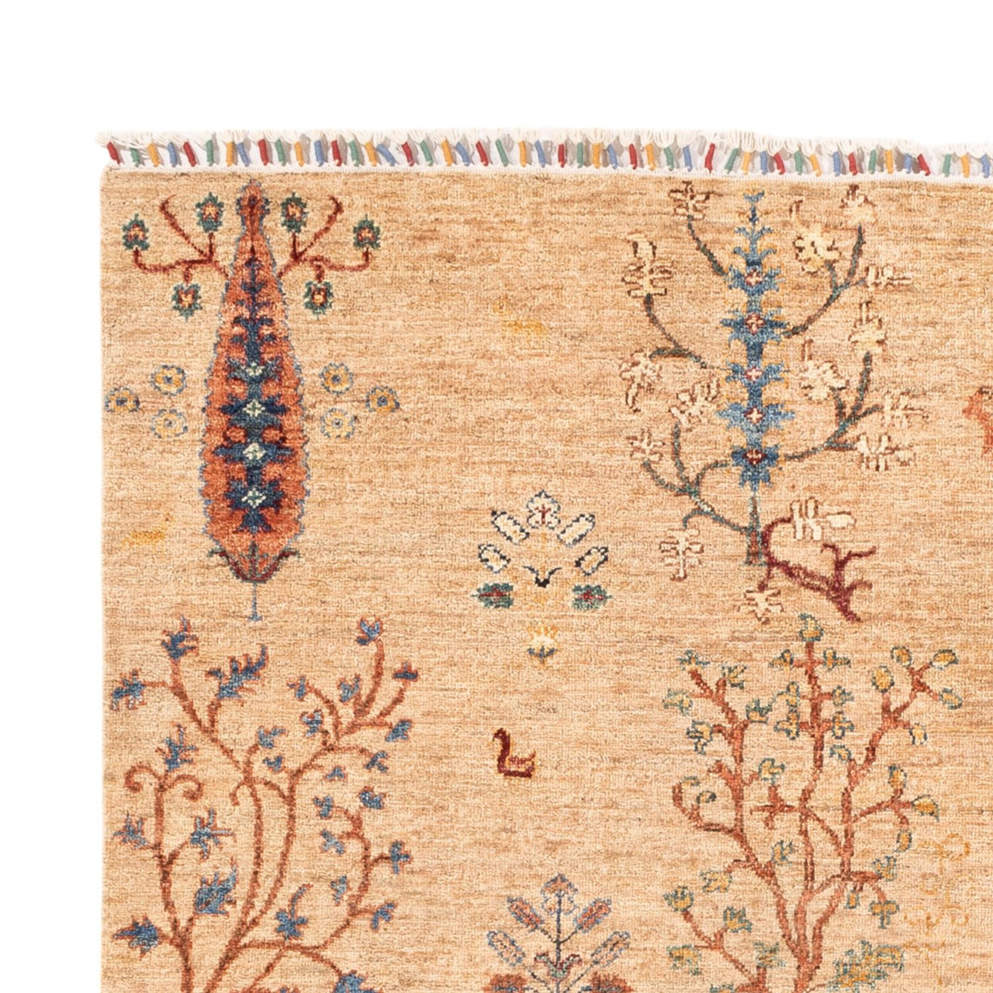 Ariana Rug 241x171cm - Oriental Rug