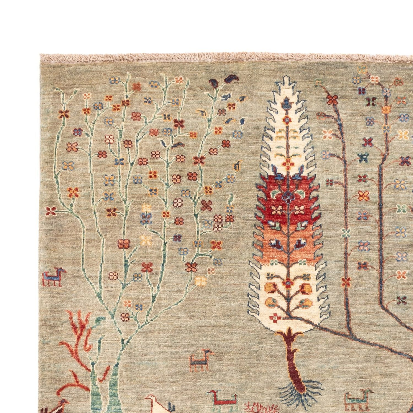 Ariana Rug 244x173cm - Oriental Rug
