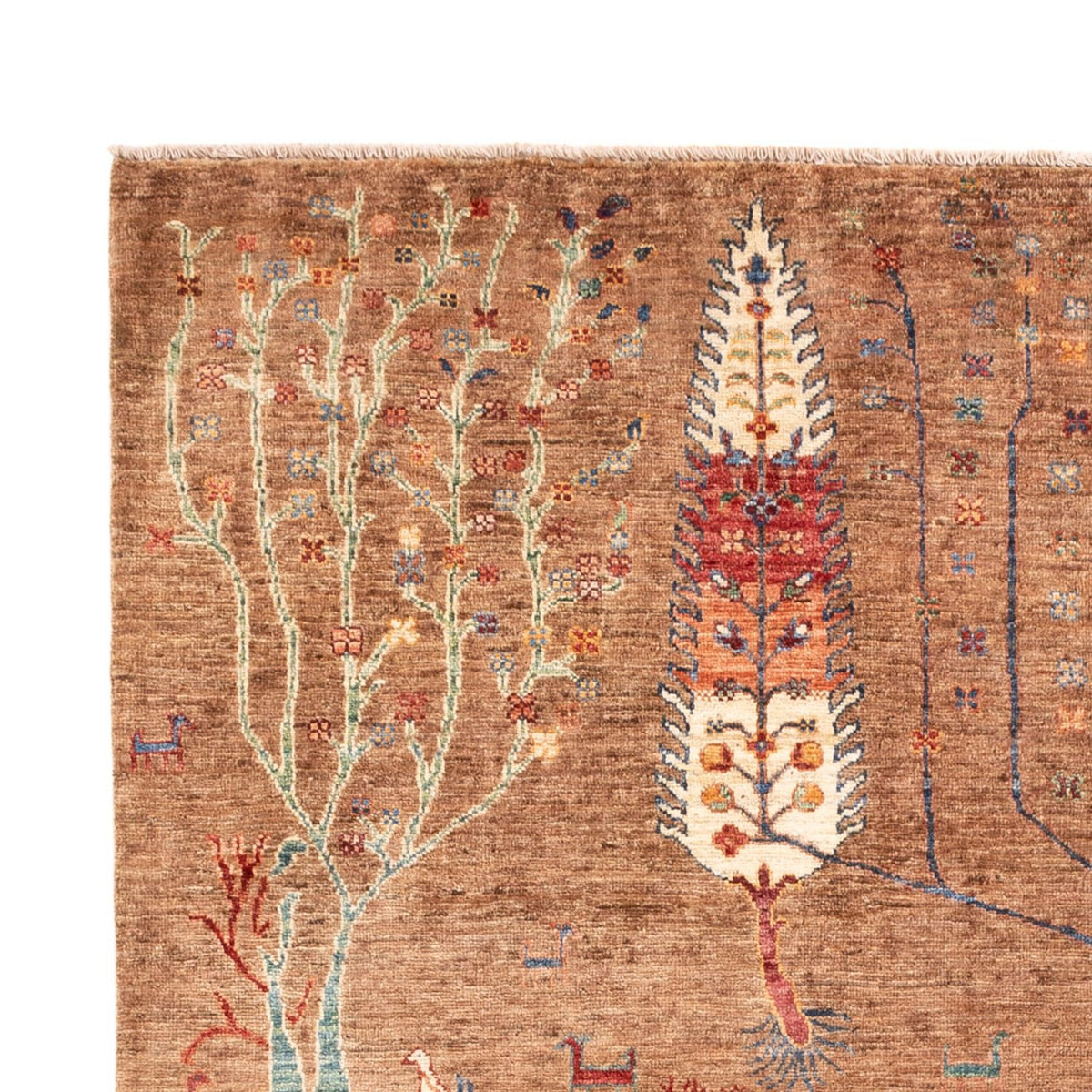 Ziegler Rug - Ariana - 246 x 172 cm - brown