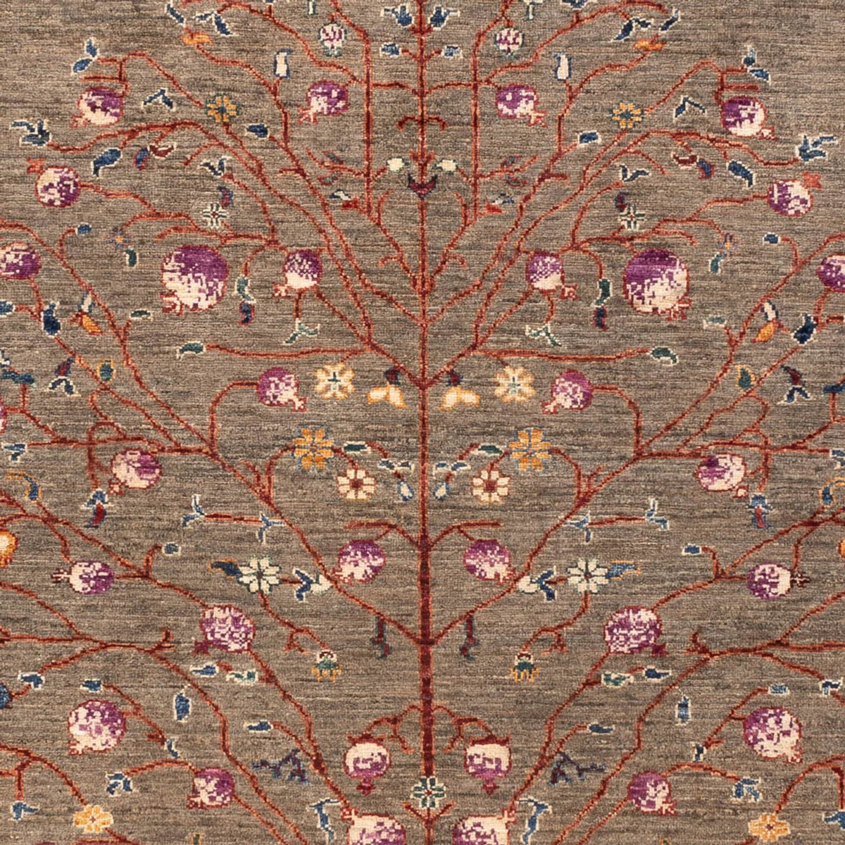 Ziegler Rug - Ariana - 245 x 172 cm - dark beige