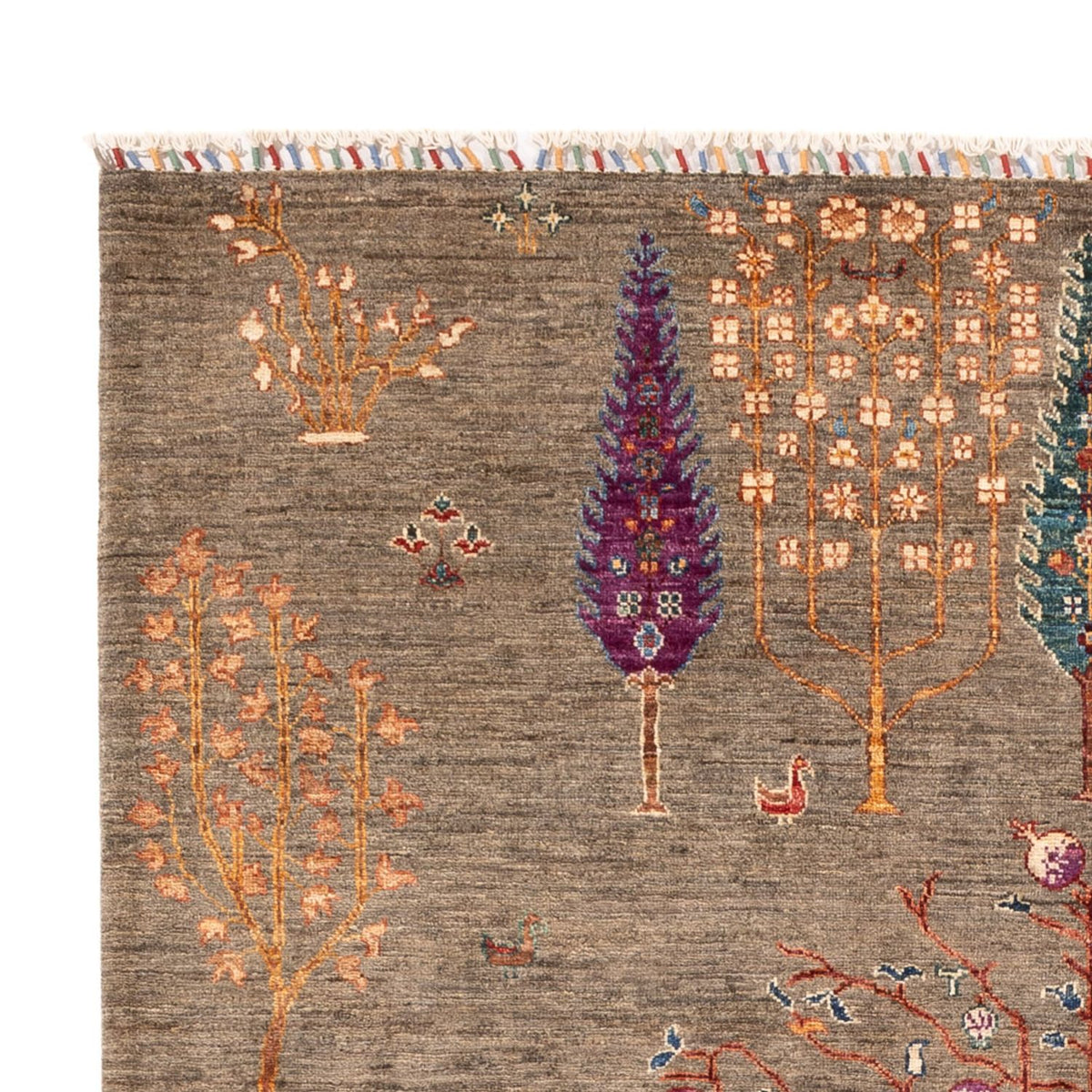 Ziegler Rug - Ariana - 245 x 172 cm - dark beige