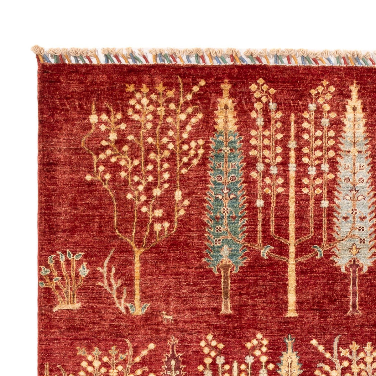 Ziegler Rug - Ariana - 242 x 173 cm - red